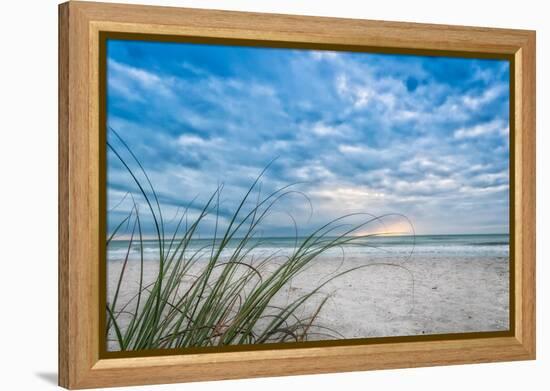 Sea Oat Curl of Sunset-Mary Lou Johnson-Framed Stretched Canvas