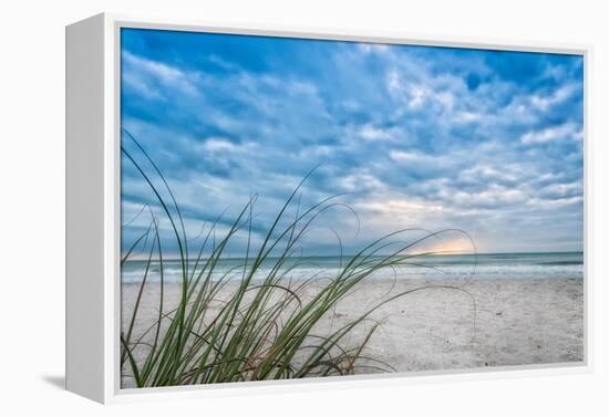 Sea Oat Curl of Sunset-Mary Lou Johnson-Framed Stretched Canvas