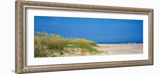 Sea Oat Grass on the Beach, Charleston, South Carolina, USA-null-Framed Photographic Print