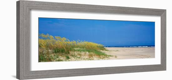 Sea Oat Grass on the Beach, Charleston, South Carolina, USA-null-Framed Photographic Print