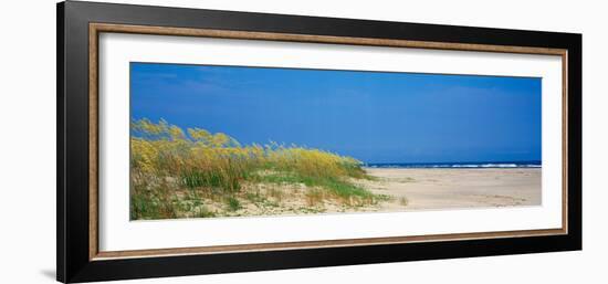 Sea Oat Grass on the Beach, Charleston, South Carolina, USA-null-Framed Photographic Print