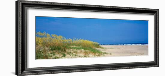 Sea Oat Grass on the Beach, Charleston, South Carolina, USA-null-Framed Photographic Print