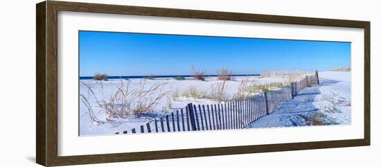 Sea Oats and Fence Along White Sand Beach at Santa Rosa Island Near Pensacola, Florida-null-Framed Photographic Print