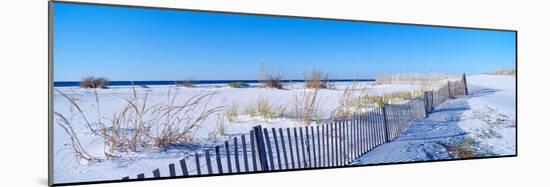 Sea Oats and Fence Along White Sand Beach at Santa Rosa Island Near Pensacola, Florida-null-Mounted Photographic Print