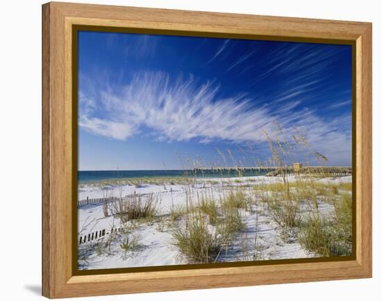 Sea Oats and White Sand Dunes-James Randklev-Framed Premier Image Canvas