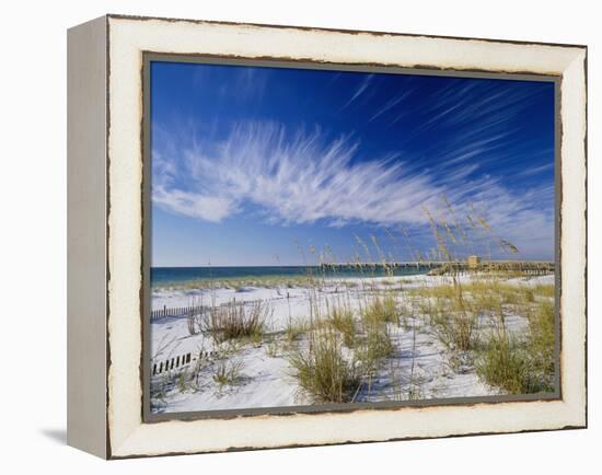 Sea Oats and White Sand Dunes-James Randklev-Framed Premier Image Canvas