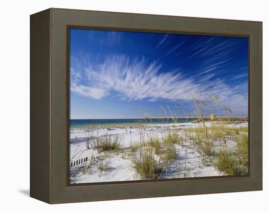 Sea Oats and White Sand Dunes-James Randklev-Framed Premier Image Canvas