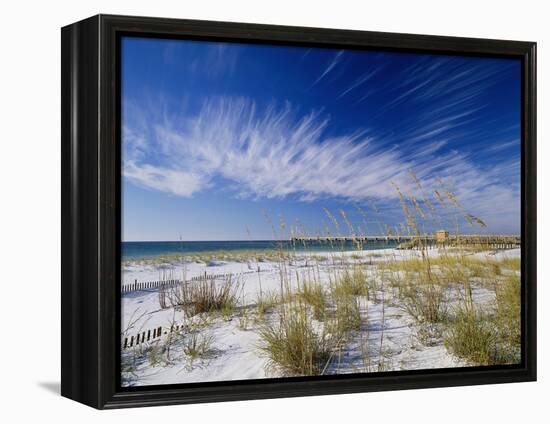 Sea Oats and White Sand Dunes-James Randklev-Framed Premier Image Canvas