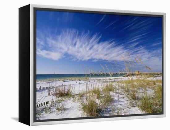 Sea Oats and White Sand Dunes-James Randklev-Framed Premier Image Canvas