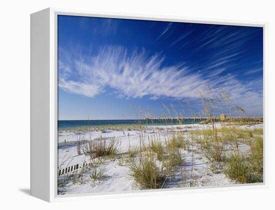 Sea Oats and White Sand Dunes-James Randklev-Framed Premier Image Canvas