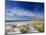 Sea Oats and White Sand Dunes-James Randklev-Mounted Photographic Print