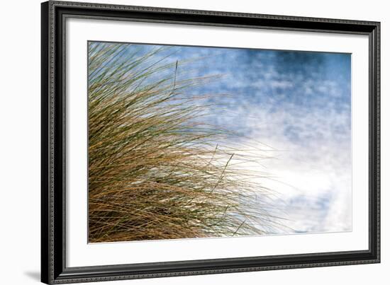 Sea Oats Blowing-Mary Lou Johnson-Framed Art Print