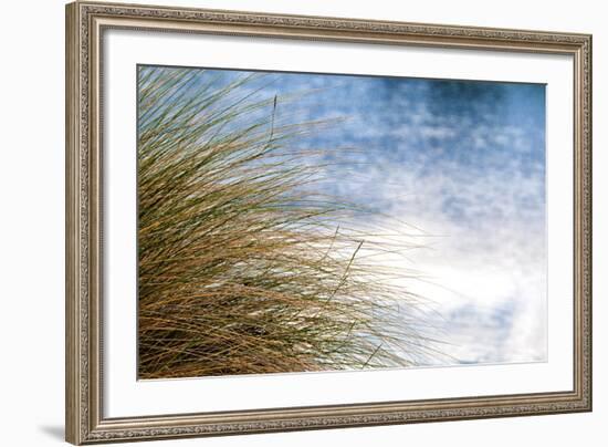 Sea Oats Blowing-Mary Lou Johnson-Framed Art Print