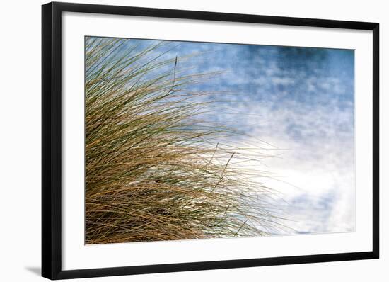 Sea Oats Blowing-Mary Lou Johnson-Framed Art Print