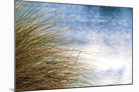 Sea Oats Blowing-Mary Lou Johnson-Mounted Art Print