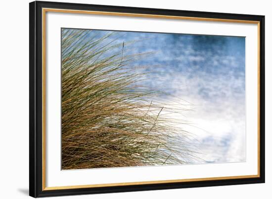 Sea Oats Blowing-Mary Lou Johnson-Framed Art Print