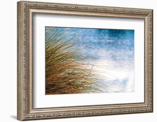 Sea Oats Blowing-Mary Lou Johnson-Framed Photo