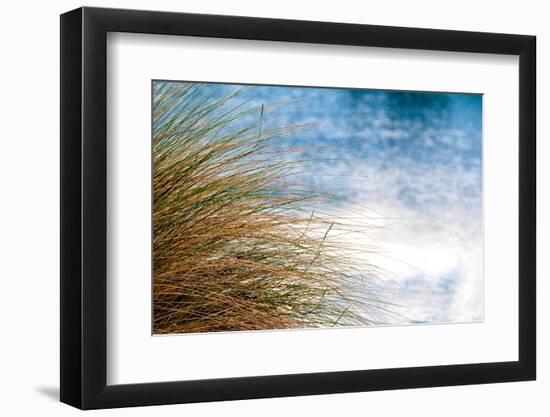 Sea Oats Blowing-Mary Lou Johnson-Framed Photo