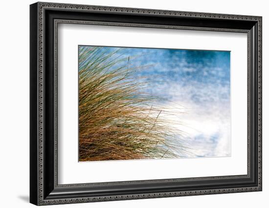 Sea Oats Blowing-Mary Lou Johnson-Framed Photo