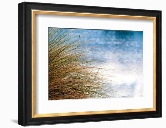 Sea Oats Blowing-Mary Lou Johnson-Framed Photo