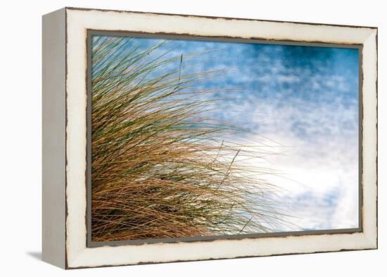 Sea Oats Blowing-Mary Lou Johnson-Framed Stretched Canvas