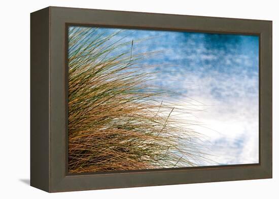 Sea Oats Blowing-Mary Lou Johnson-Framed Stretched Canvas