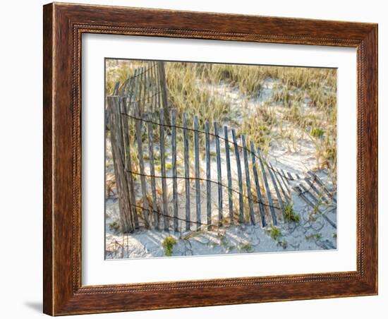 Sea Oats III-Danny Head-Framed Photographic Print