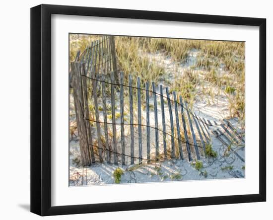 Sea Oats III-Danny Head-Framed Photographic Print