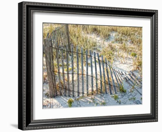 Sea Oats III-Danny Head-Framed Photographic Print