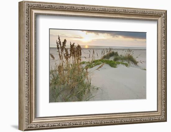 Sea Oats on Gulf of Mexico at South Padre Island, Texas, USA-Larry Ditto-Framed Photographic Print