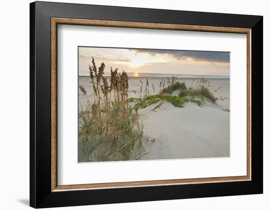 Sea Oats on Gulf of Mexico at South Padre Island, Texas, USA-Larry Ditto-Framed Photographic Print