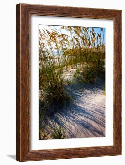 Sea Oats & Shadow I-Alan Hausenflock-Framed Photographic Print