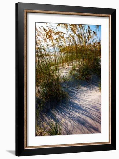 Sea Oats & Shadow I-Alan Hausenflock-Framed Photographic Print