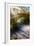 Sea Oats & Shadow I-Alan Hausenflock-Framed Photographic Print