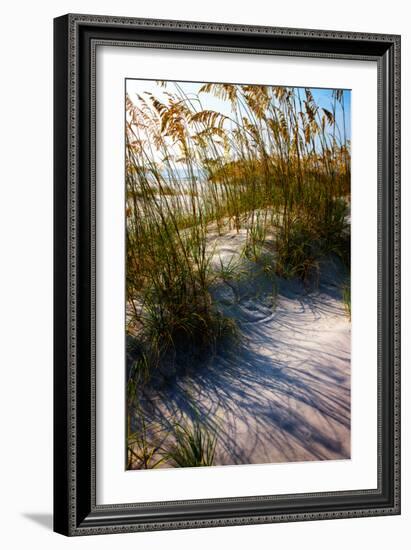 Sea Oats & Shadow I-Alan Hausenflock-Framed Photographic Print