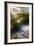 Sea Oats & Shadow I-Alan Hausenflock-Framed Photographic Print