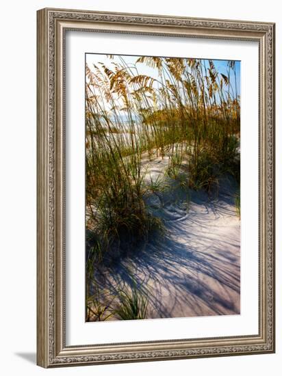 Sea Oats & Shadow I-Alan Hausenflock-Framed Photo