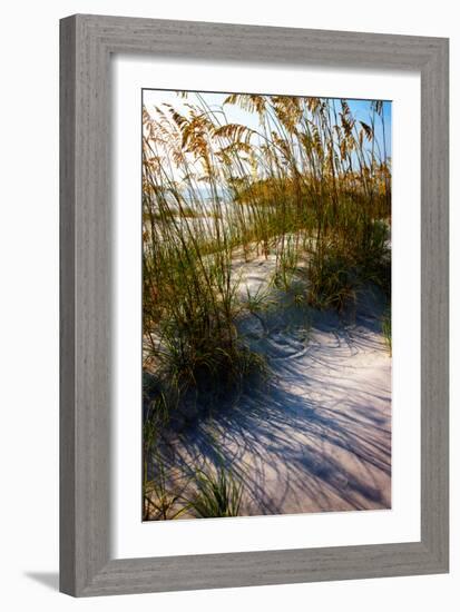 Sea Oats & Shadow I-Alan Hausenflock-Framed Photo