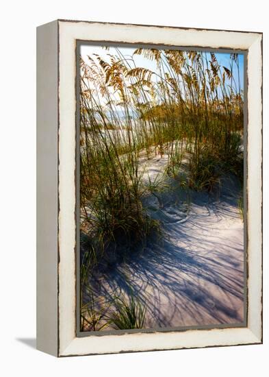 Sea Oats & Shadow I-Alan Hausenflock-Framed Stretched Canvas