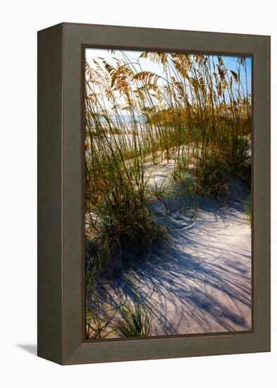 Sea Oats & Shadow I-Alan Hausenflock-Framed Stretched Canvas