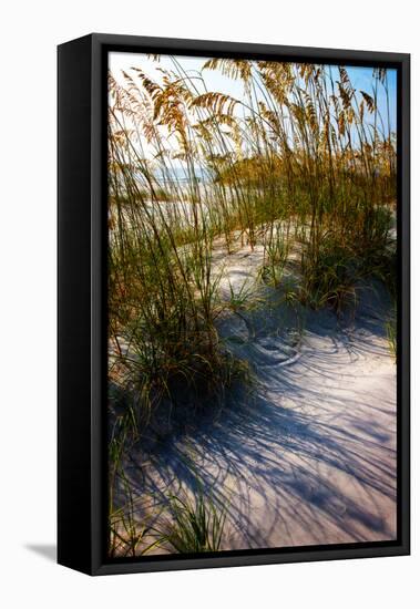 Sea Oats & Shadow I-Alan Hausenflock-Framed Stretched Canvas