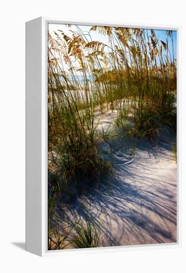 Sea Oats & Shadow I-Alan Hausenflock-Framed Stretched Canvas