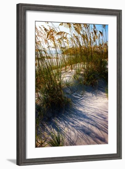 Sea Oats & Shadow I-Alan Hausenflock-Framed Photo