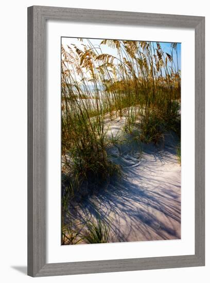 Sea Oats & Shadow I-Alan Hausenflock-Framed Photo