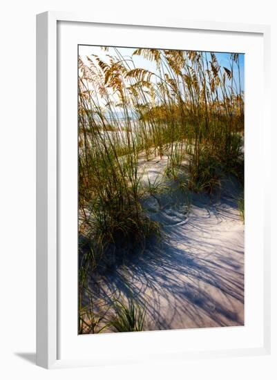 Sea Oats & Shadow I-Alan Hausenflock-Framed Photo