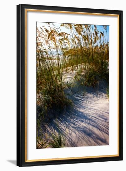 Sea Oats & Shadow I-Alan Hausenflock-Framed Photo