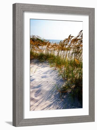 Sea Oats & Shadow II-Alan Hausenflock-Framed Photo