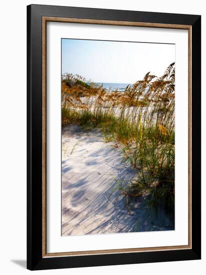 Sea Oats & Shadow II-Alan Hausenflock-Framed Photo