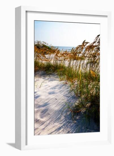 Sea Oats & Shadow II-Alan Hausenflock-Framed Photo