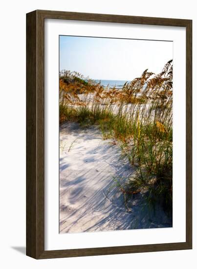 Sea Oats & Shadow II-Alan Hausenflock-Framed Photographic Print